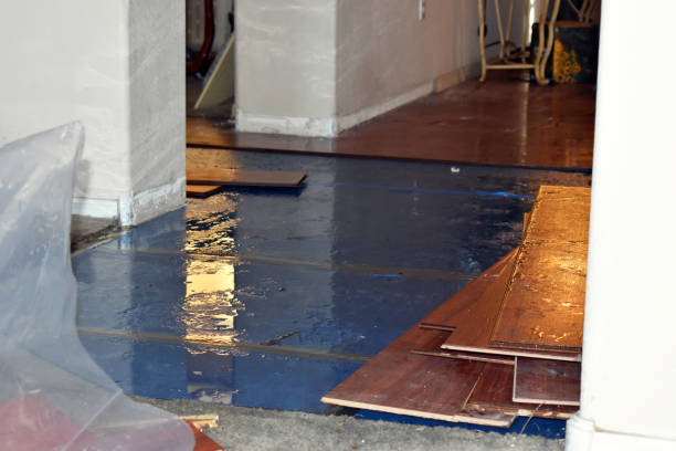 Professional Water Damage Repair technician working in Deanville, TX